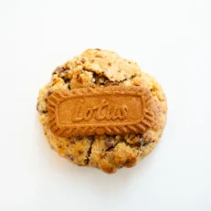 Lotus Biscoff Cookie