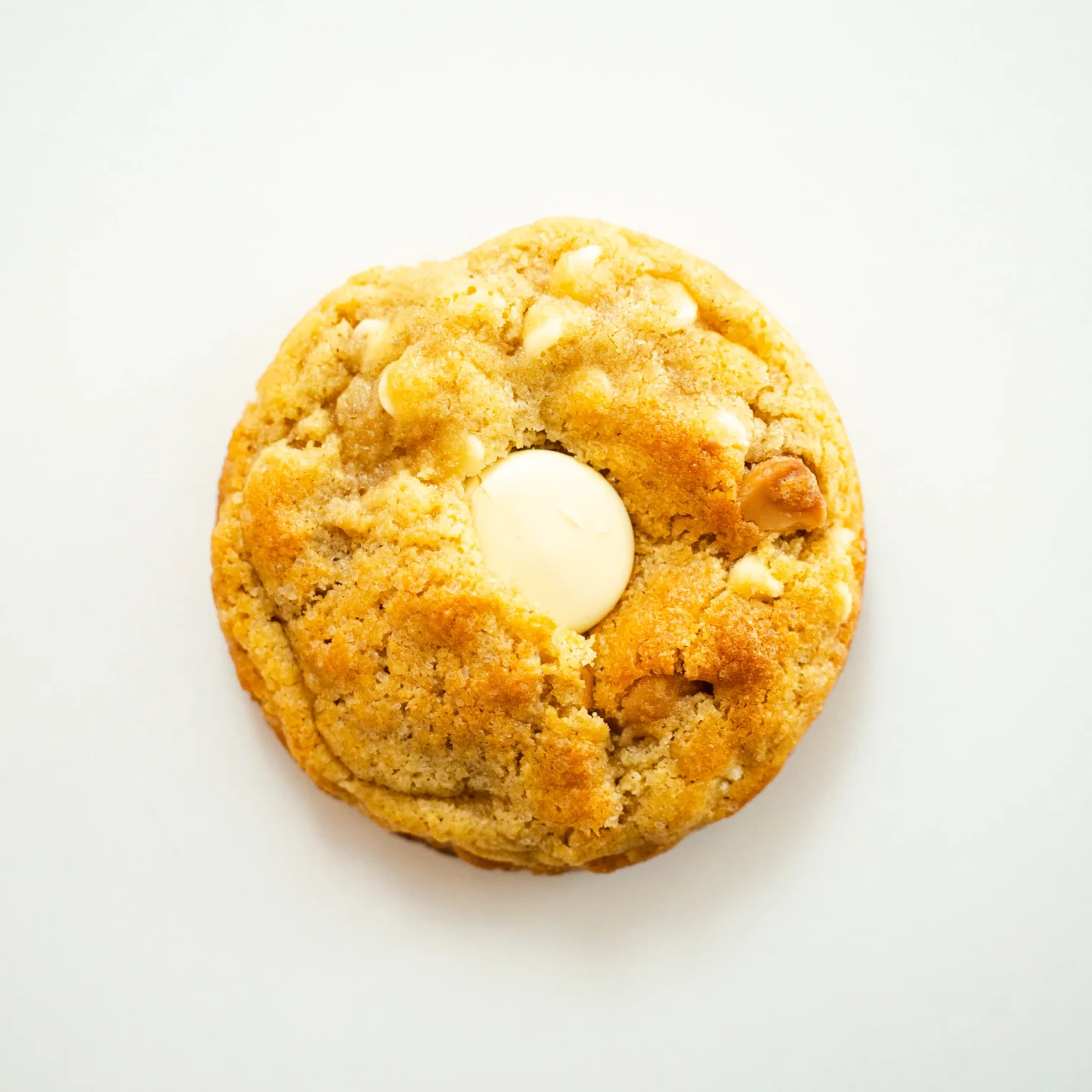 White Chocolate Macademia Cookie