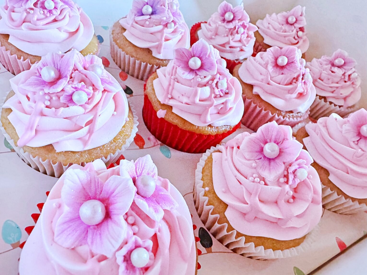 Box of Cupcakes